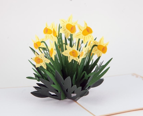 Daffodils pop-up card